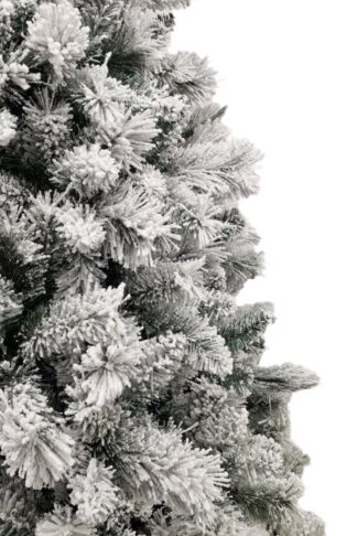 Detail stromčeka Biely vianočný stromček Borovica Biela Úzka, stromček s husto zasneženými vetvičkami