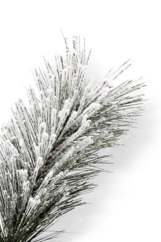 Detail vetvičky Umelý vianočný stromček Borovica Biela Úzka