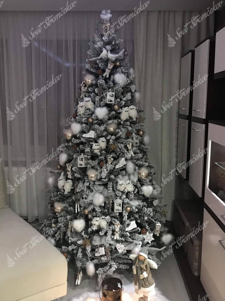 Ozdobený biely vianočný stromček Smrek Severský bielými ozdobami .