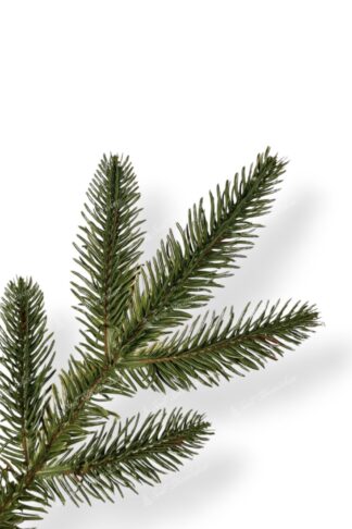 Detail vetvičky Umelý vianočný stromček 3D Smrek Kalifornský