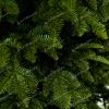 Bledo zelené 3D ihličie FULL 3D stromček Jedľa Kaukazská.
