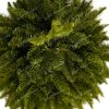 Vianočný stromček full 3D Jedľa Kaukazská z vrchu