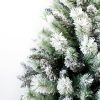 Zasnežené vetvičky vianočného stromčeka Borovica Biela