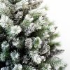 Detail bieleho vianočného stromčeka Borovica Biela