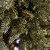 Detail smrekového 3D ihličia vianočného stromčeka Smrek Úzky