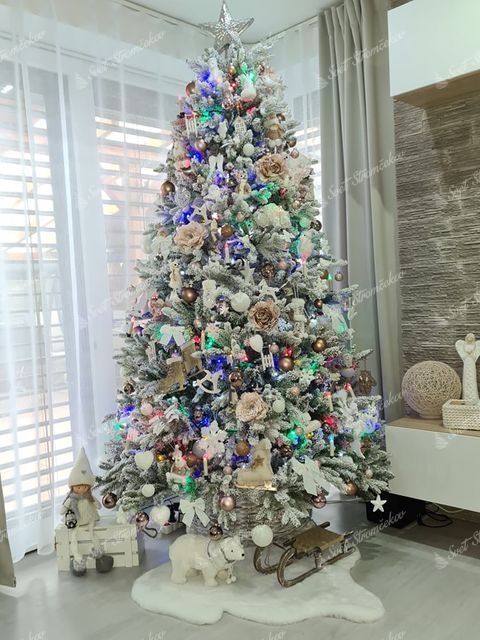 vianočný stromček 3D Smrek Kráľovský 240cm na Vianoce
