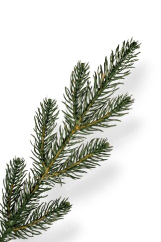 Detail vetvičky Umelý vianočný stromček 3D Smrek Mohutný