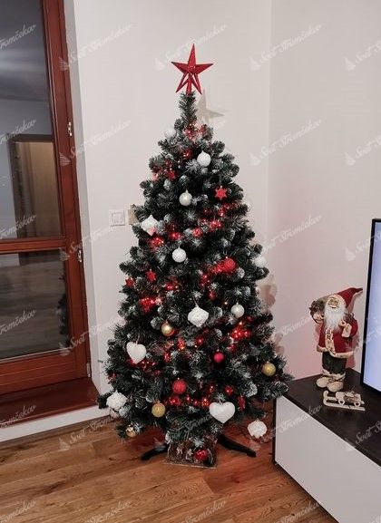 umelý vianočný stromček Borovica Strieborná 180cm s červenými vianočnými dekoráciami
