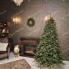 Vianočný stromček FULL 3D Jedľa Normandská, stromček má husté ihličie prirodzenej zelenej farby