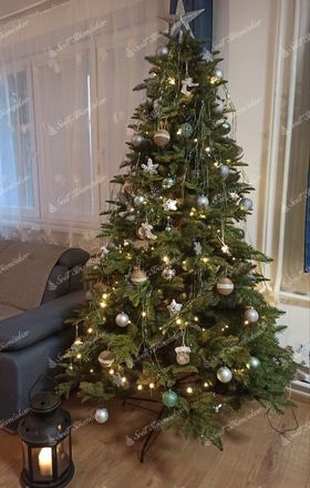 Vianočný stromček 3D Jedľa Kaukazská 210cm so striebornými ozdobami