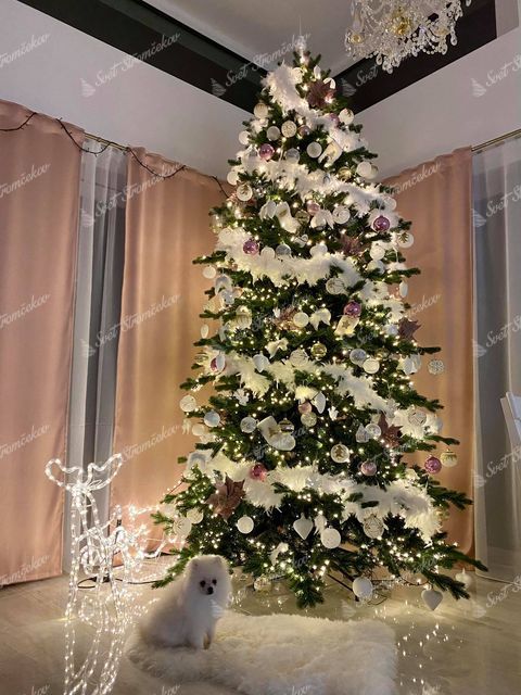 vianočný stromček 3D Smrek Exkluzívny 270cm ozdobený bielymi guľami a organzami