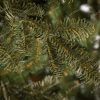 Umelý vianočný stromček 3D Jedľa Normandská detail ihličia. Detailne odfotené jedľové ihličie zelenej farby.