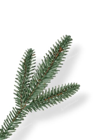 Detail vetvičky Umelý vianočný stromček 3D Jedľa Striebristá