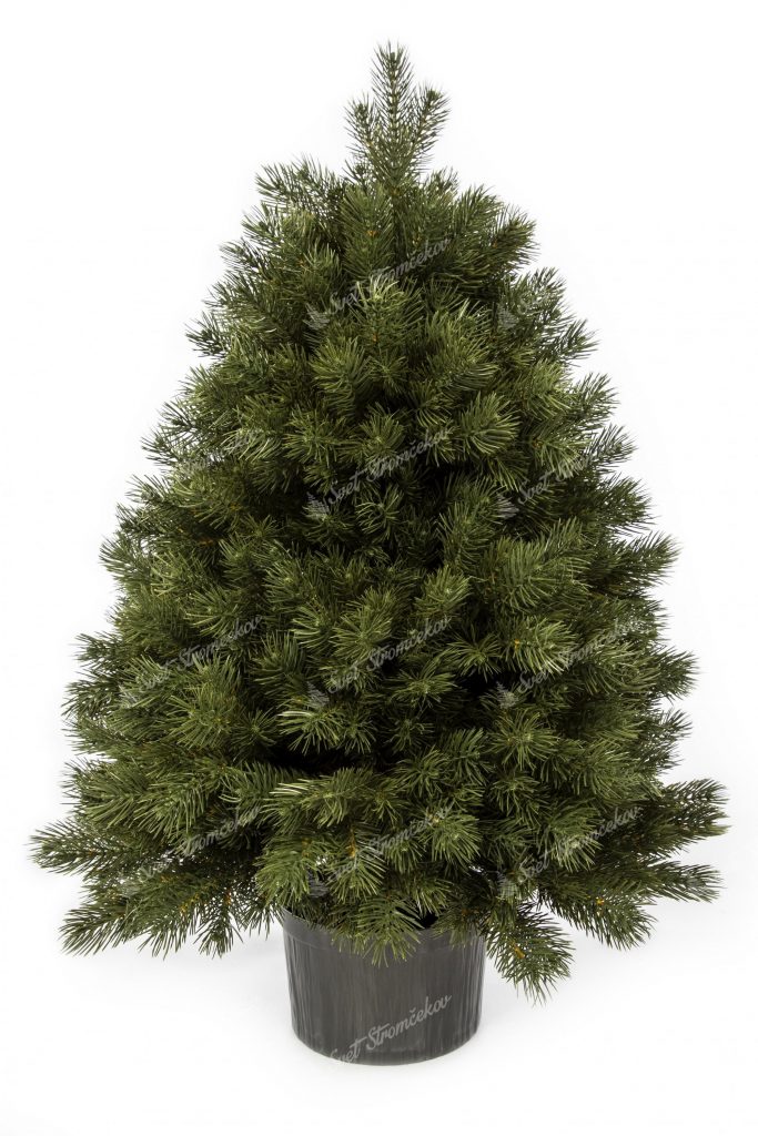 Vianočný stromček FULL 3D Mini Borovica. Stromček je zelenej farby.