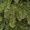 Vianočný stromček 3D Jedľa Kaukazská XL detail ihličia