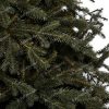 Vianočný stromček 3D Smrek Alpský XL detail ihličia
