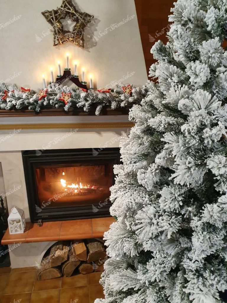Vianočný stromček Borovica Biela Úzka. Detail bieleho vianočného stromčeka pri krbe.