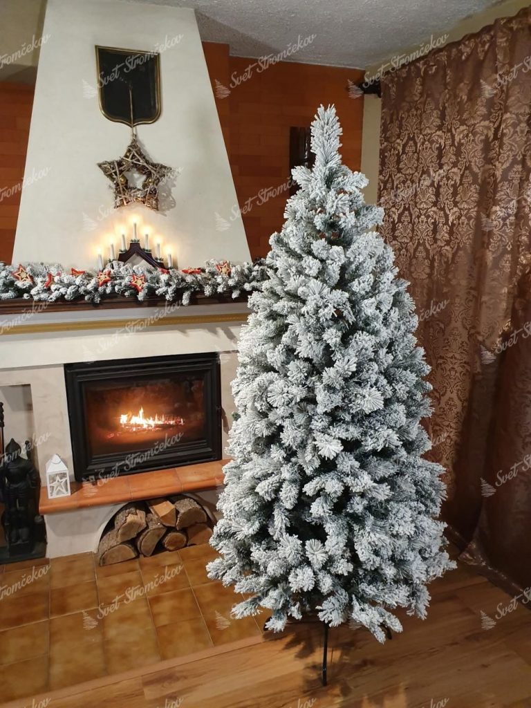 Vianočný stromček Borovica Biela Úzka. Biely vianočný stromček pri krbe.