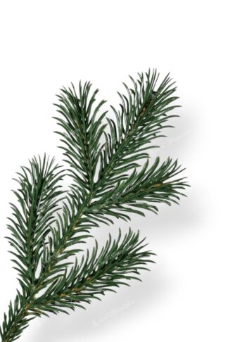 Detail vetvičky Umelý vianočný stromček 3D Borovica Tatranská