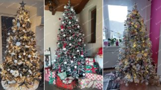 Najkrajšie vianočné stromčeky od našich zákazníkov