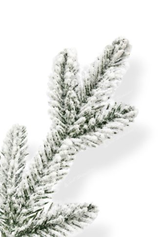 Detail vetvičky Vianočný stromček 3D Smrek Kráľovský