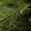 Vianočný stromček 3D Smrek Štíhly s bledo-zeleným ihličím