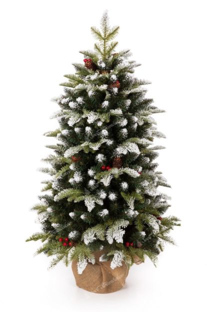 Vianočný stromček v kvetináči z vrecoviny 3D Jedľa Zasnežená s jemne posneženými koncami vetvičiek