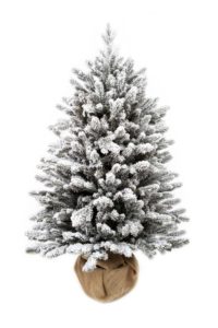 Vianočný stromček v kvetináči 3D Smrek Kráľovský