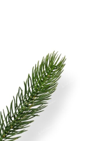 Detail vetvičky Umelý vianočný stromček 100% 3D Mini Smrek