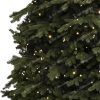 Gigantický vianočný stromček 3D Smrek Exkluzív s osvetlením, stromček má husté zelené ihličie