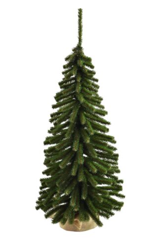 Malý, zelený vianočný stromček Mini Smrek Tatranský vo vrecovine.