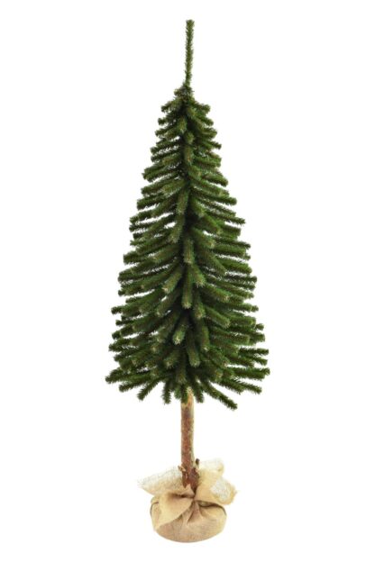 Vianočný stromček so zeleným ihličím na pníku vo vrecovinovom stojane, Mini Smrek Tatranský