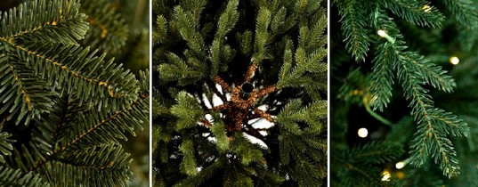 Výber vianočného stromčeka, detaily vianočných vetvičiek