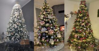 top 10 najkrajšie vianočné stromčeky