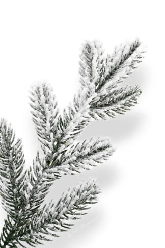 Detail vetvičky Biely vianočný stromček 3D Smrek Polárny