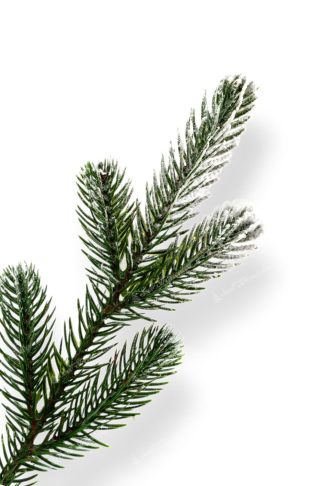 Detail vetvičky Umelý vianočný stromček 3D Smrek Zasnežený