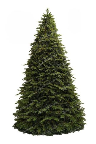 Detail stromčeka Gigantický vianočný stromček 3D Smrek Exkluzív, stromček má husté zelené ihličie