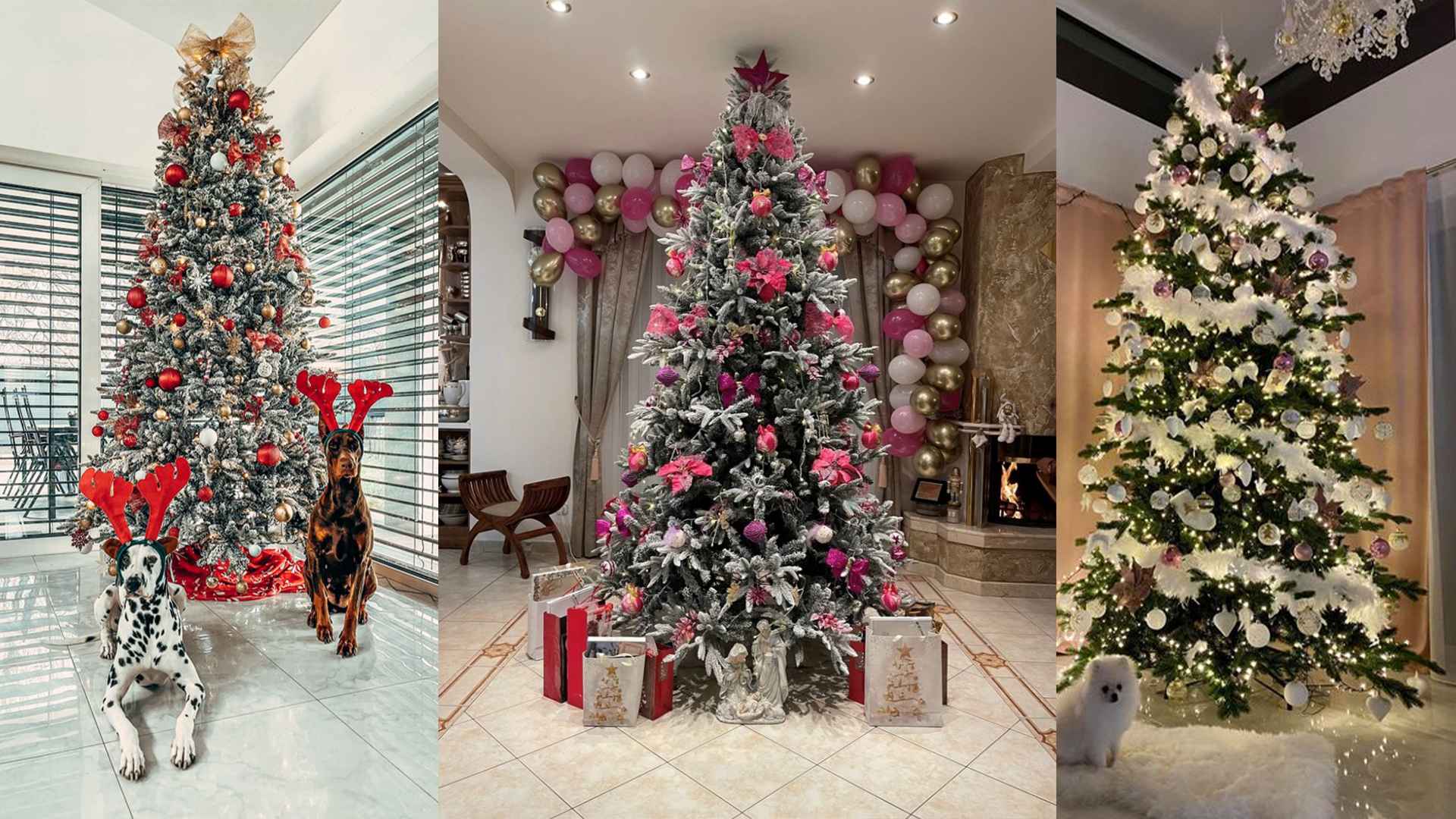 Nadrozmerné vianočné stromčeky titulná fotka