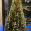 Vianočný stromček FULL 3D Jedľa Normandská 240cm, stromček má husté ihličie zelenej fraby a je ozdobený červenými a zelenými ozdobami