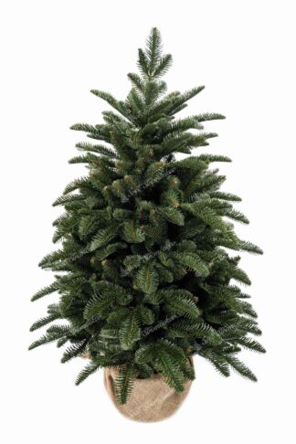 Vianočný stromček v kvetináči 3D Jedľa Normandská, stromček je osadený v kvetináči a má husté zelené ihličie