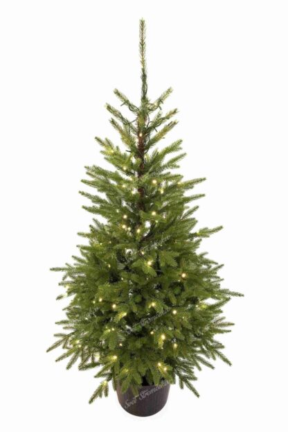 Umelý vianočný stromček v kvetináči 3D Smrek Karpatský 150cm 150LED