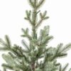 Detail vianočného stromčeka FULL 3D Smrek Pichľavý, má zelené ihličie a prepracovaný hnedý stred vetvičiek a kmeň stromčeka.
