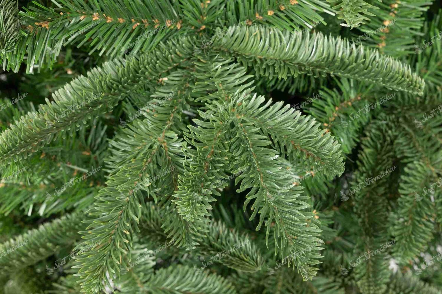 Detail vetvičky vianočného stromčeka 3D Jedľa Kolorádska na pníku ktorá je vytvorená z oblého svetlozeleného ihličia