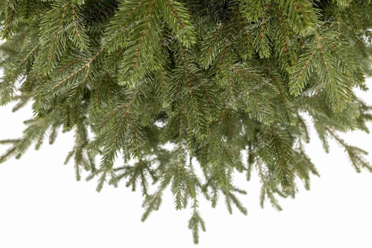 Detail vianočného stromčeka 3D Smrek Apeninský na pníku so svetlozelenými vetvičkami