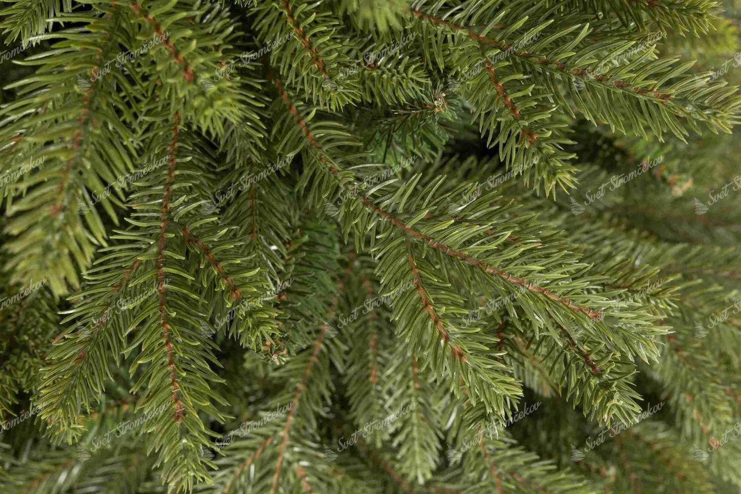 Detail ihličia vianočného stromčeka 3D Smrek Apeninský na pníku prirodzenej svetlozelenej farby